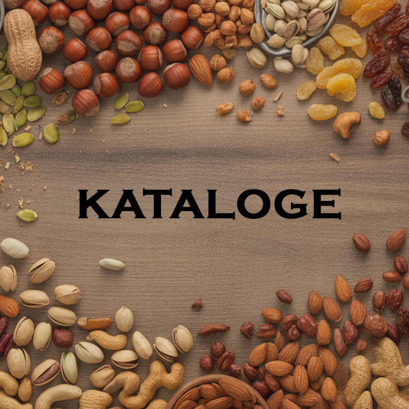 Kataloge